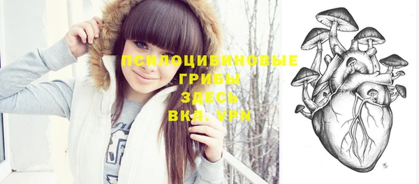 apvp Михайловск