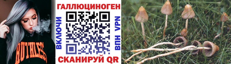 Псилоцибиновые грибы мицелий  omg   Калининград 